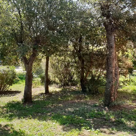 Bed & Breakfast A Vigna Vecchia D'hotes *