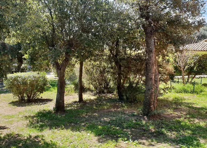 Bed & Breakfast A Vigna Vecchia D'hotes 4*