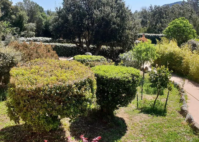 A Vigna Vecchia D'hotes Bed & Breakfast Porto-Vecchio (Corsica)